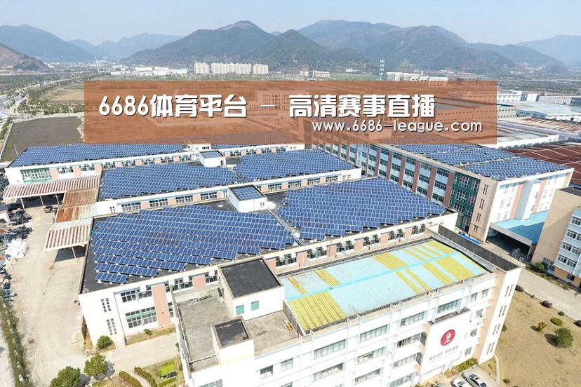 案例展示四