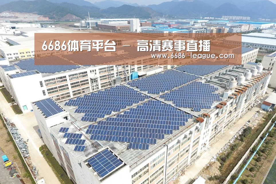 案例展示二