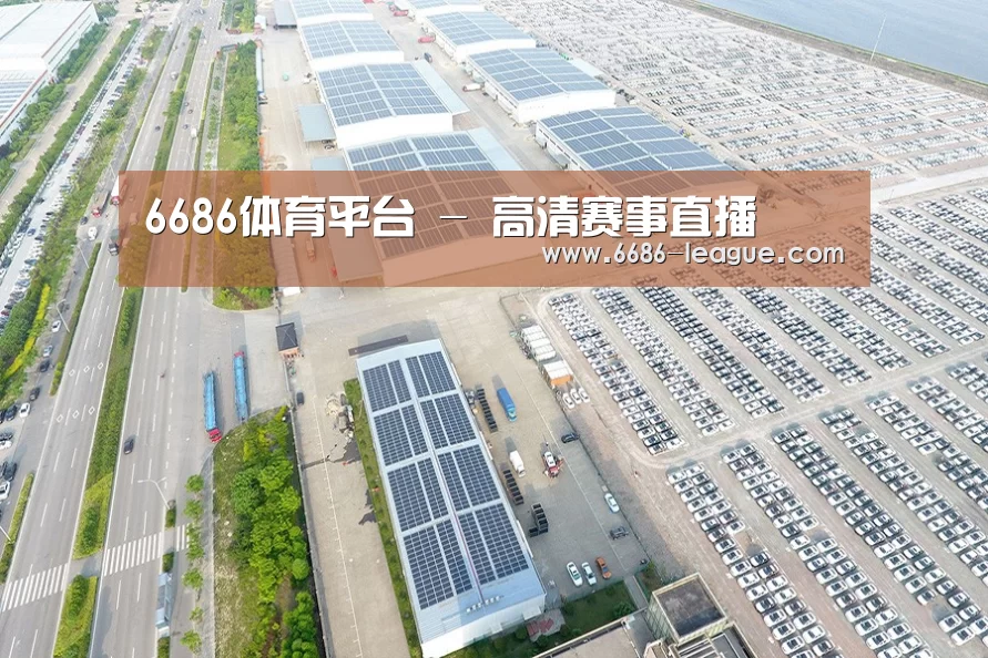 案例展示二