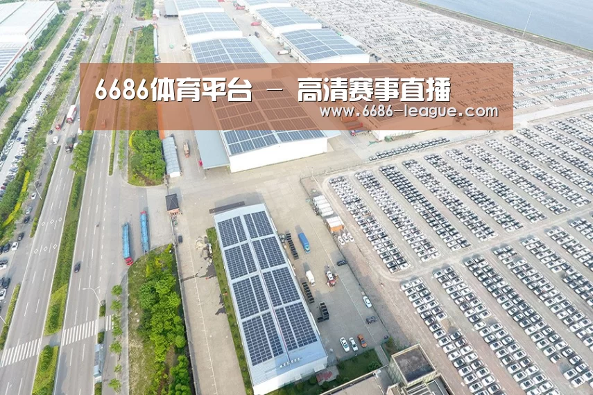 案例展示三