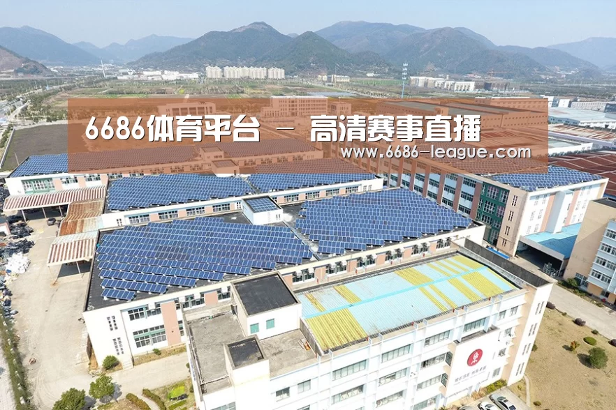 案例展示三