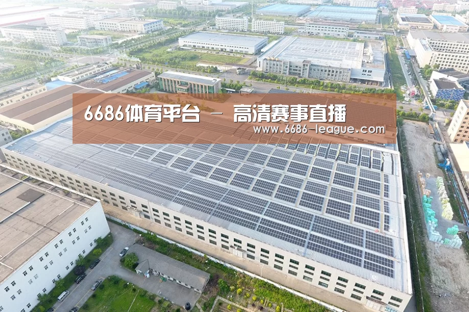 案例展示四