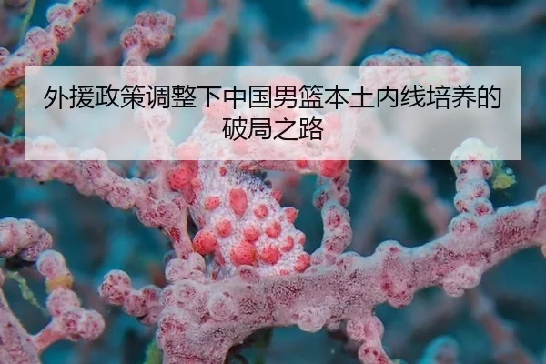 wai-yuan-zheng-ce-tiao-zheng-xia-zhong-guo-nan-lan-ben-tu-nei-xian-pei-yang-de-po-ju-zhi-lu-3-502.jpg