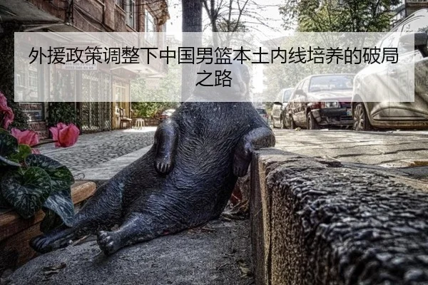 外援政策调整下中国男篮本土内线培养的破局之路